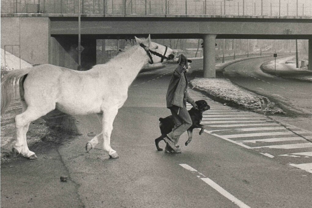 František Dostál – fotografie